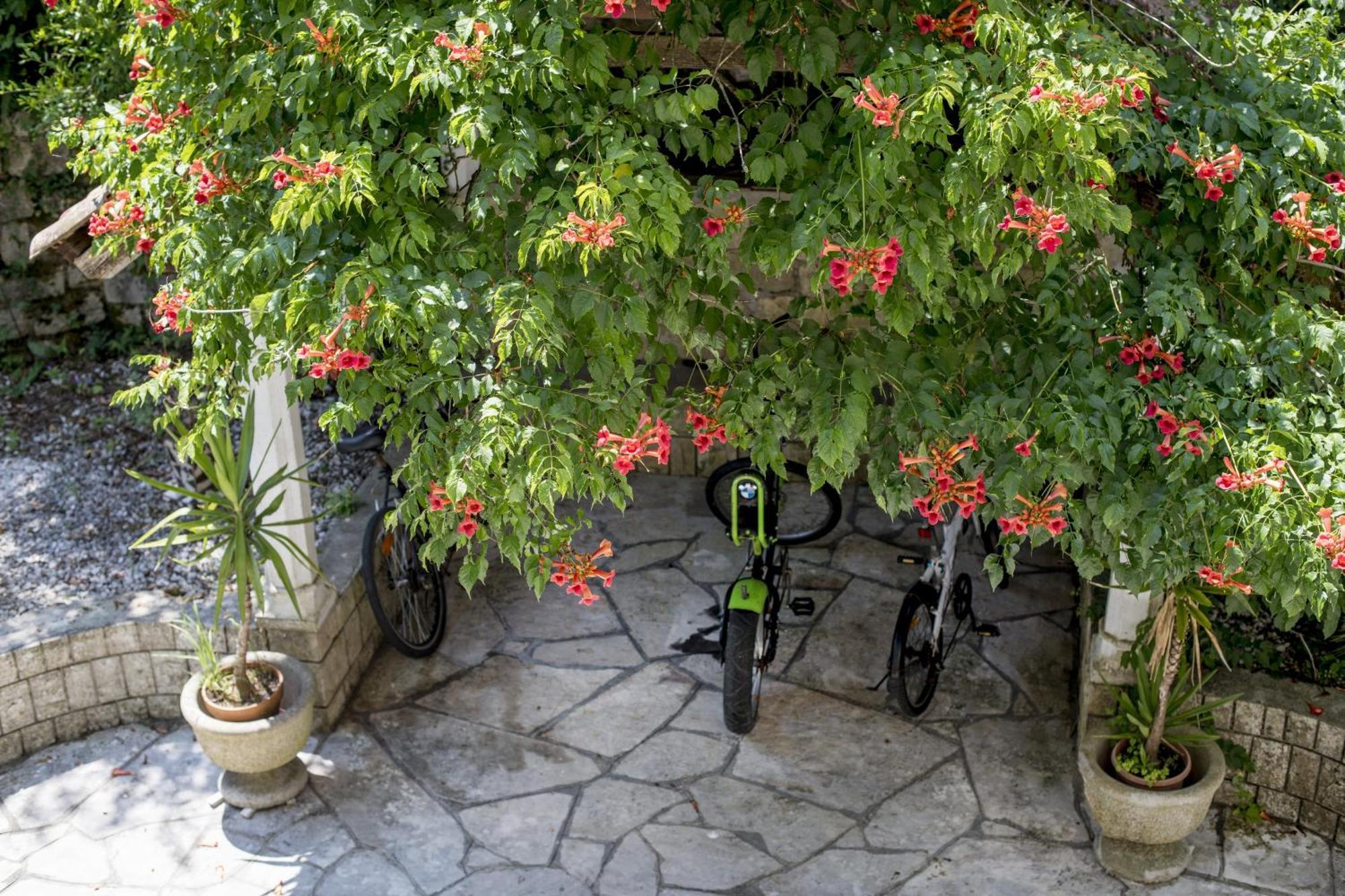 Villa D'amore Montenegro Donji Morinj Esterno foto